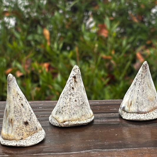 Handmade Mini Ceramic Trees – Set of Three